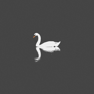 岳啊灬啊别停灬啊灬快视频
