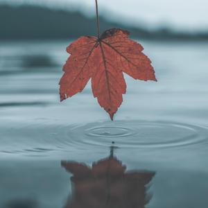 岳啊灬啊别停灬啊灬快视频
