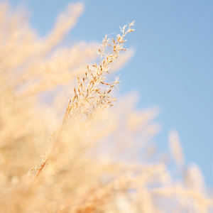 岳啊灬啊别停灬啊灬快视频
